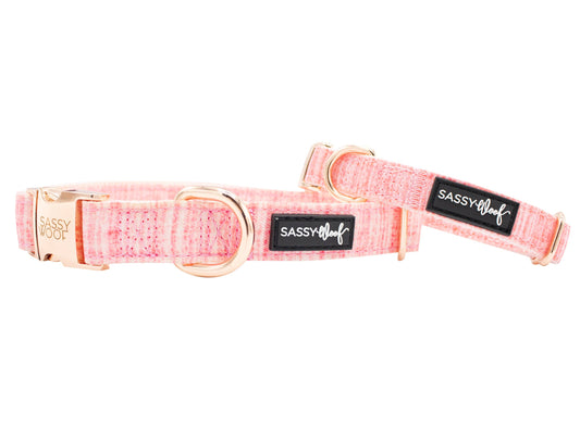 Sassy Woof Dog Collar - Dolce Rose