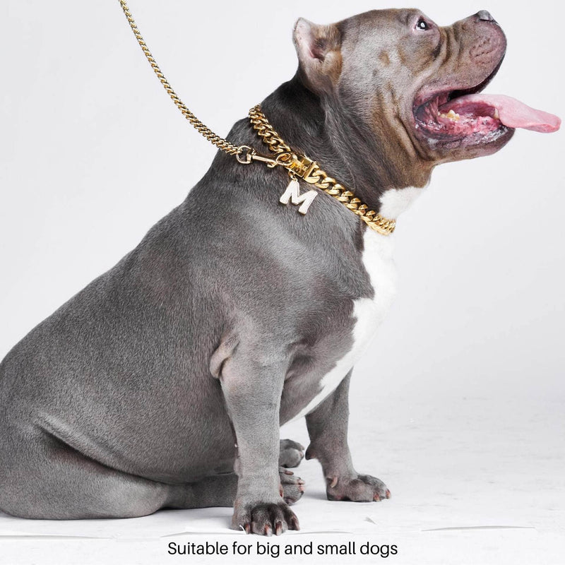 Cuban Link Chain Dog Collar