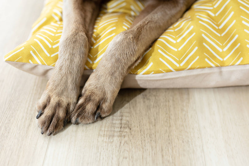 Yellow Chevron Pattern Washable Pet Bed Cover: Medium Bed Cover Only