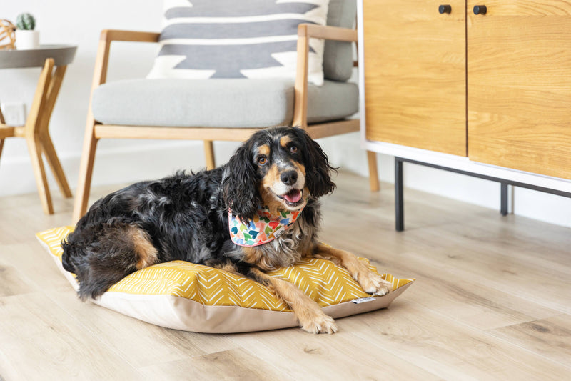 Yellow Chevron Pattern Washable Pet Bed Cover: Medium Bed Cover Only