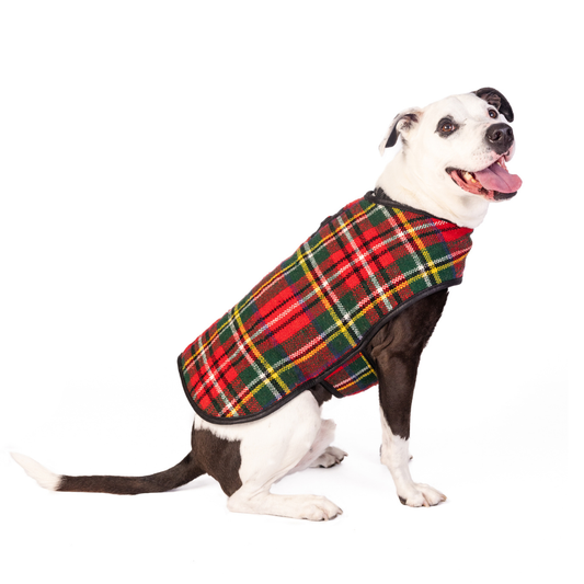 Chilly Dog- Scotty Plaid Dog Blanket Coat