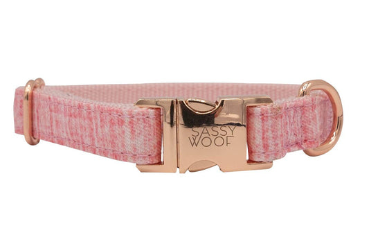 Sassy Woof Dog Collar - Dolce Rose