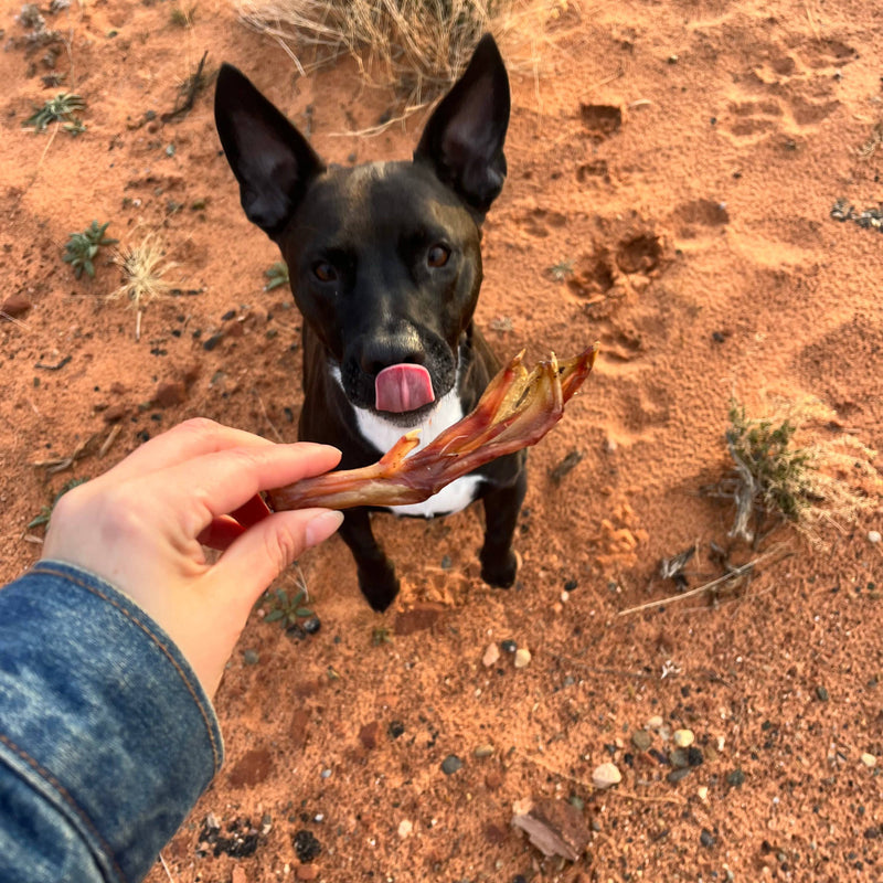 Air-dried Duck Feet