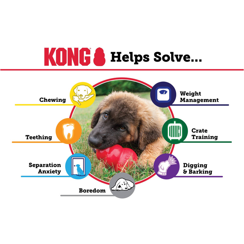 KONG® Extreme Dog Chew Toy Large