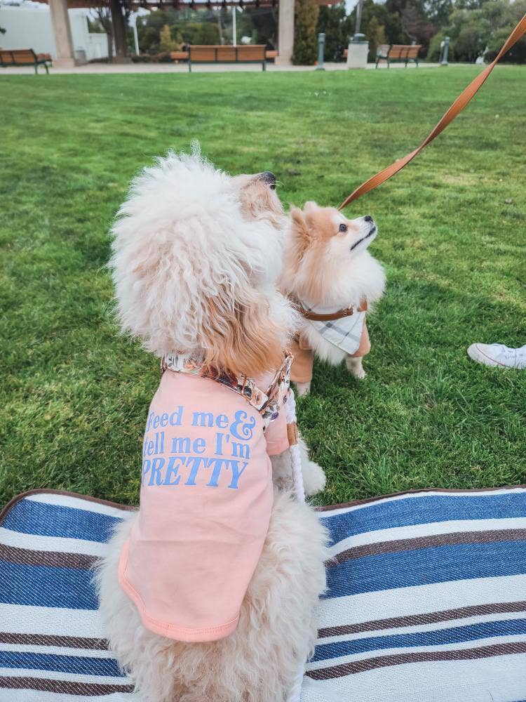 "Feed Me & Tell Me I'm Pretty" Dog T-Shirt - Pink Lemonade