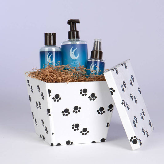 SQ PAPERBOARD BOX W/LID