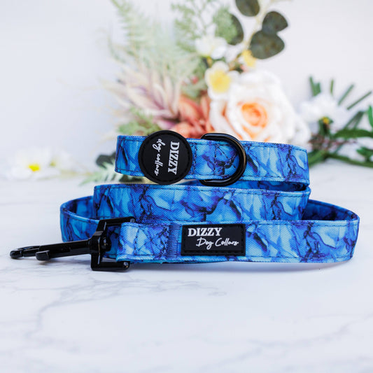 Dizzy Dog Printed Leash