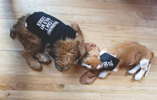 Snark City “Warning! I Can't Hold My Licker” Dog T-Shirt