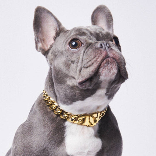 Cuban Link Chain Dog Collar