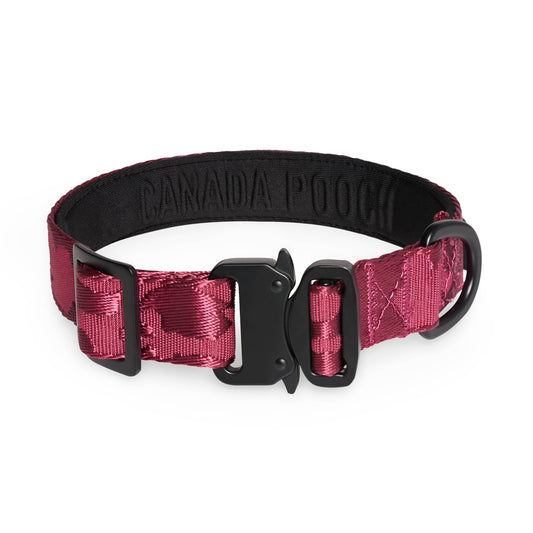 Utility Dog Collar