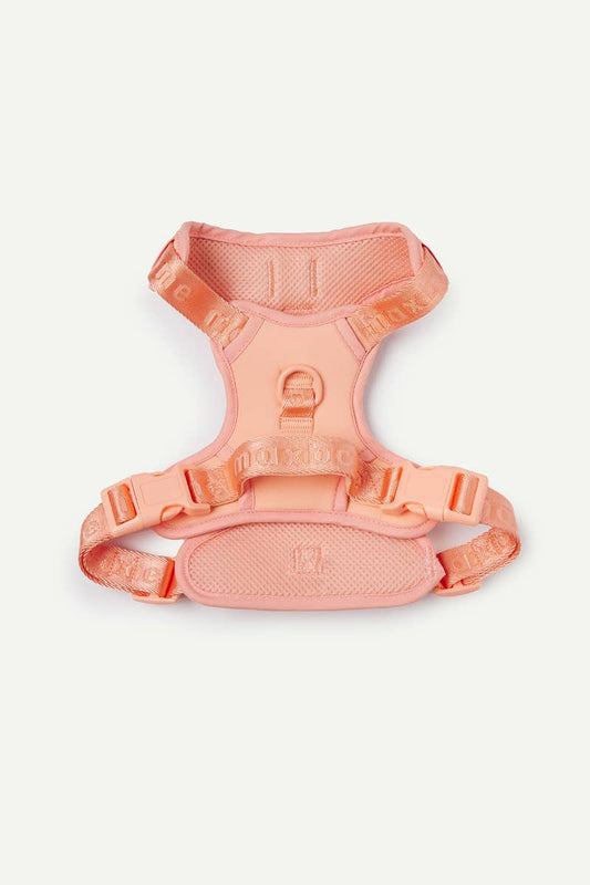 Easy Fit Harness for Dogs: Sage / XL