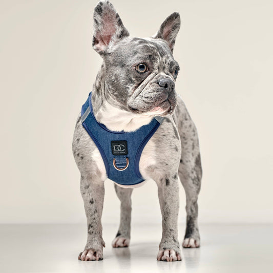 No-Pull Step-In Dog Harness - Denim