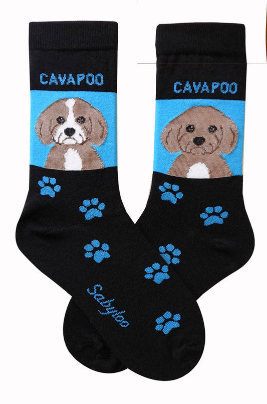 Cavapoo Dog Socks: 10-13