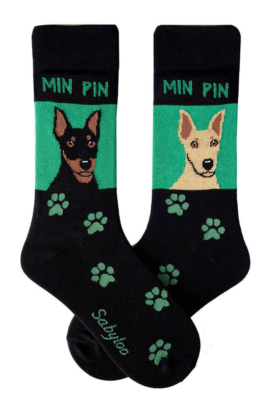 Min Pin Dog Socks: 10-13