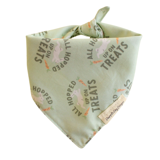 Hopped Up on Treats Bandana - Spring Dog Bandana