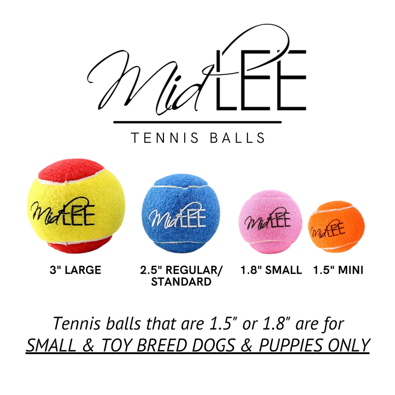 Midlee Blue/White Hanukkah Tennis Balls (Regular, 6pk)