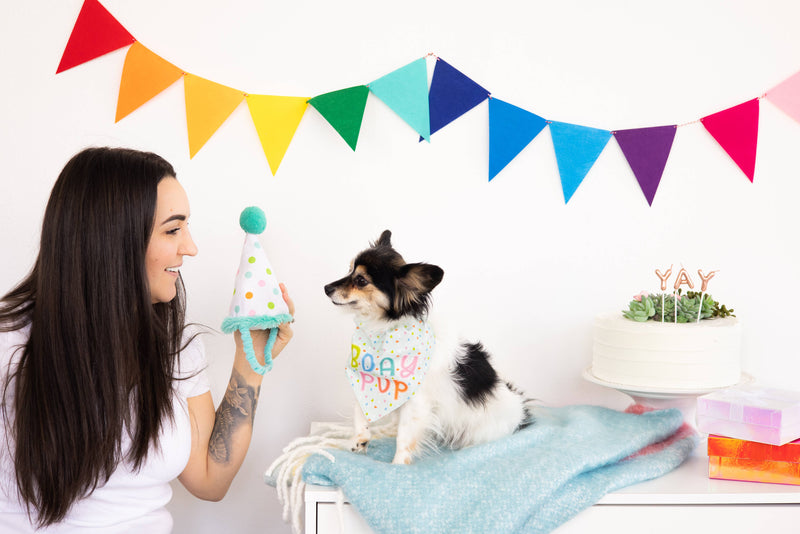 Birthday Pup Bandana & Hat Set - S/M