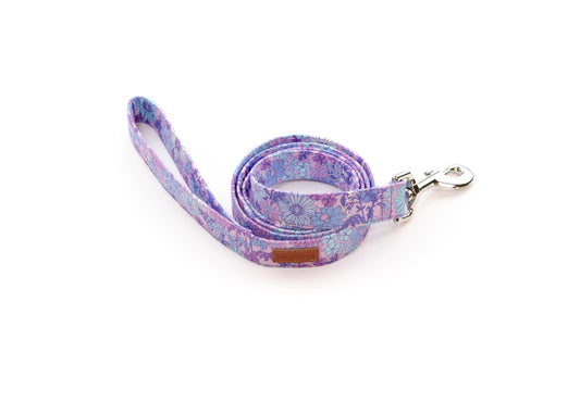 The Elsie Leash: 1" x 5ft / Stainless / No Upgrades