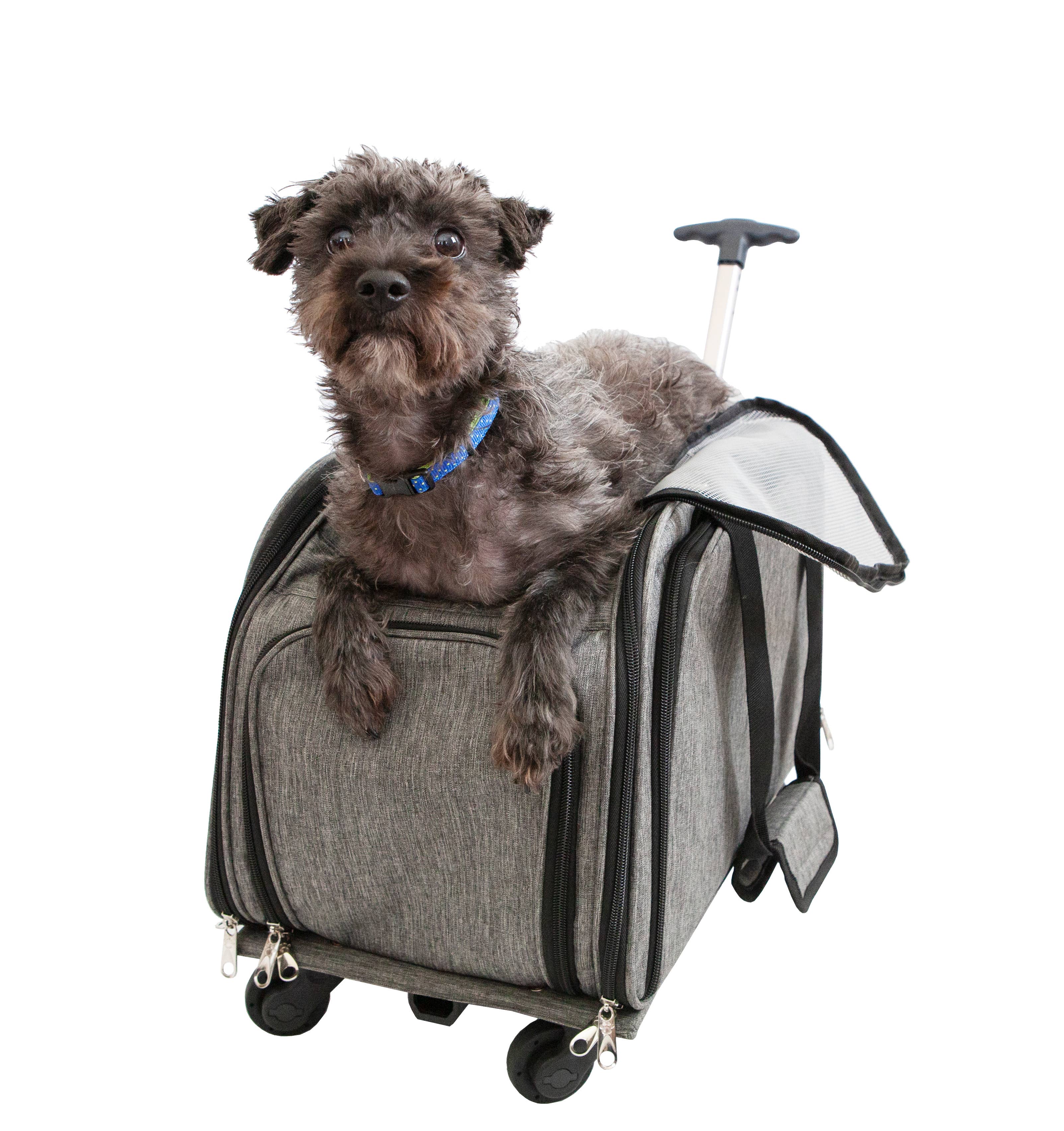 【No.206】Petique Happy Camper ペットキャリー Happy Camper Pet Carrier – Frenchie Tale