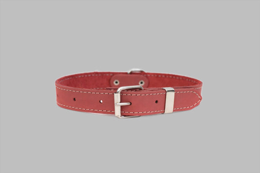 Traditional Style Soft Leather Euro Dog Collar: M 3/4" Wide 13"-17" Range / Coral Soft