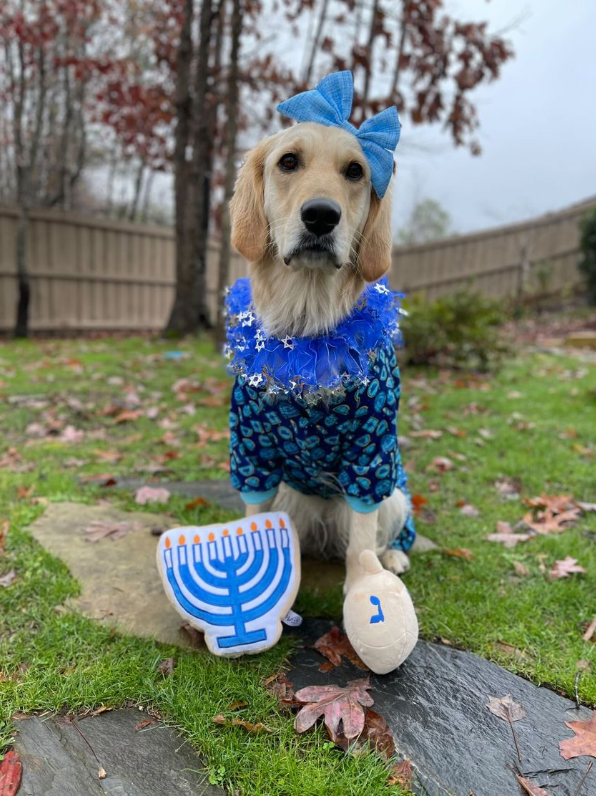 Midlee Dreidel Hanukkah Dog Toy