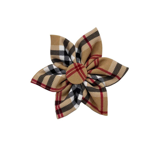 High Street Plaid Pinwheel