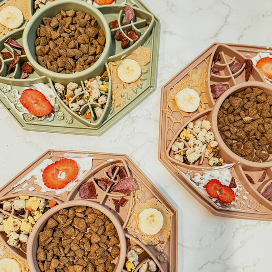 Enrichment Feeder: Sage Green