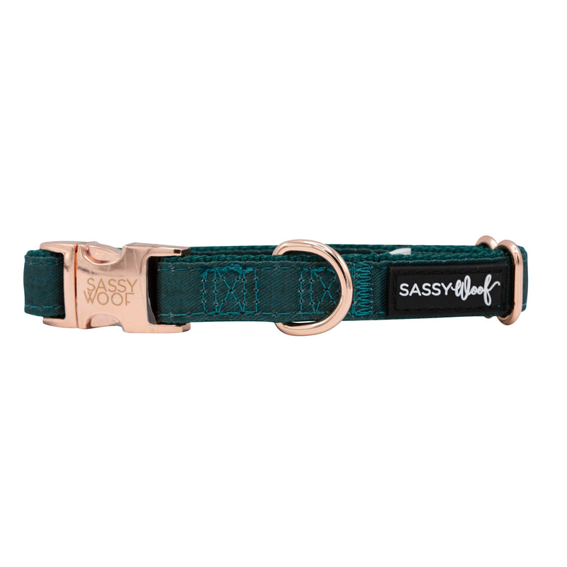 Sassy Woof Adjustable Dog Collar - Nylon