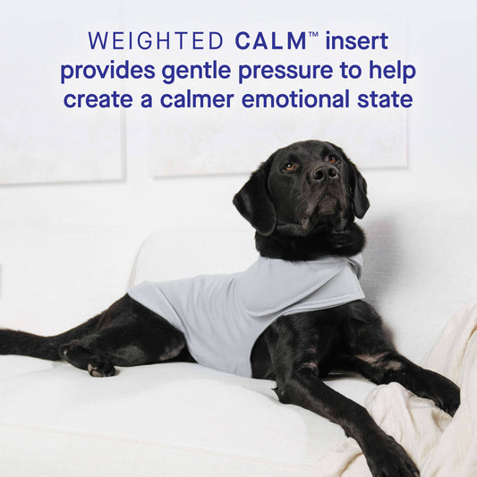 Weighted Calming Dog Vest: L / Blue