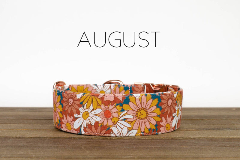 August: XL / Gold