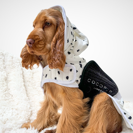 Dalmatian Drying Robe: Extra-Small