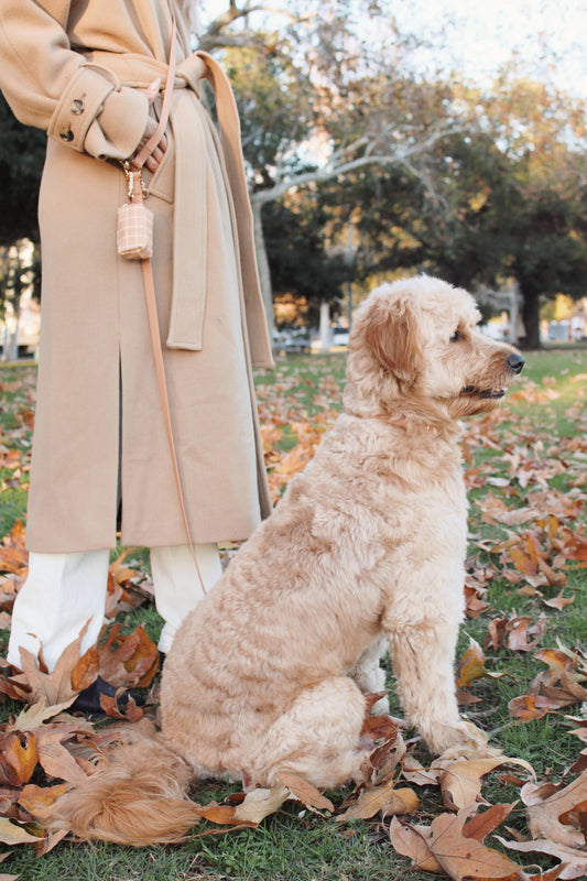 Sunny Tails Cloud Dog Leash Hands Free Chai Brown 4-in-1 Convertible