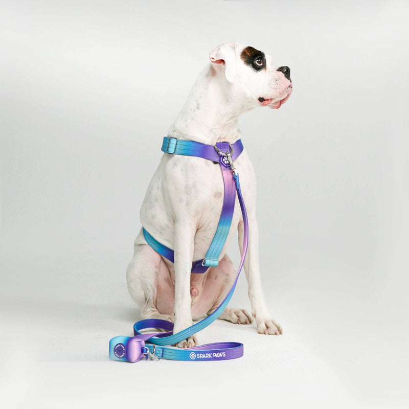 Spark Paws Comfort Control No-Pull Dog Harness - 90s Retro: L