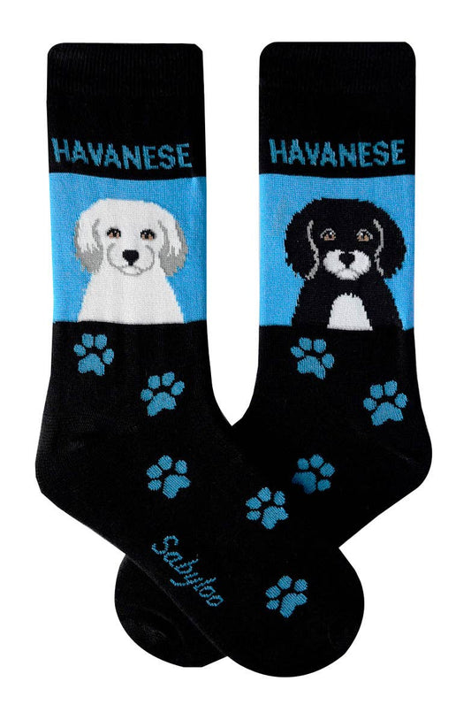 Havanese Dog Socks: 10-13