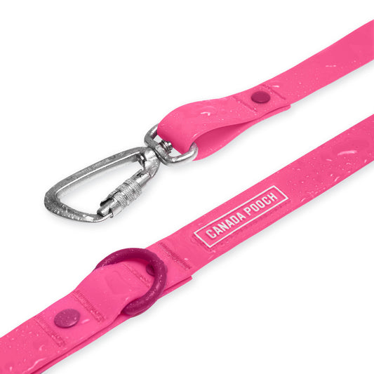 Waterproof Dog Leash (Pink)
