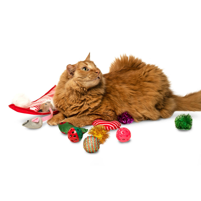 Midlee Christmas Stocking Cat Toy Gift Set (14 Toys)