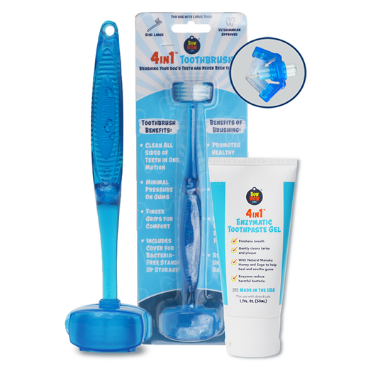 Dental Line - Toothbrush: Large