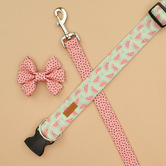 The Venice Leash: 1" x 5ft / Stainless / No Upgrades