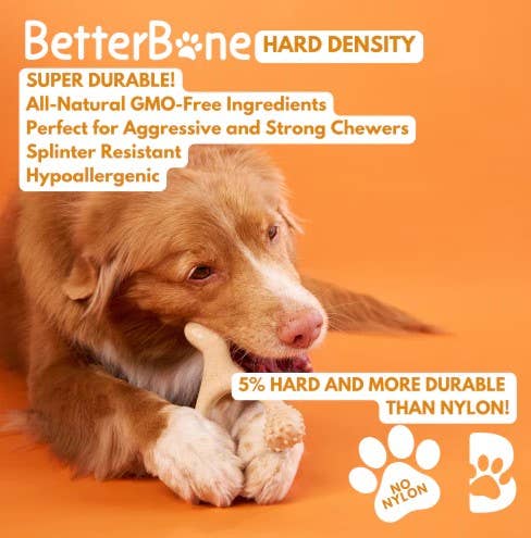 BetterBone Hard Beef Dog Chew Toy Mini