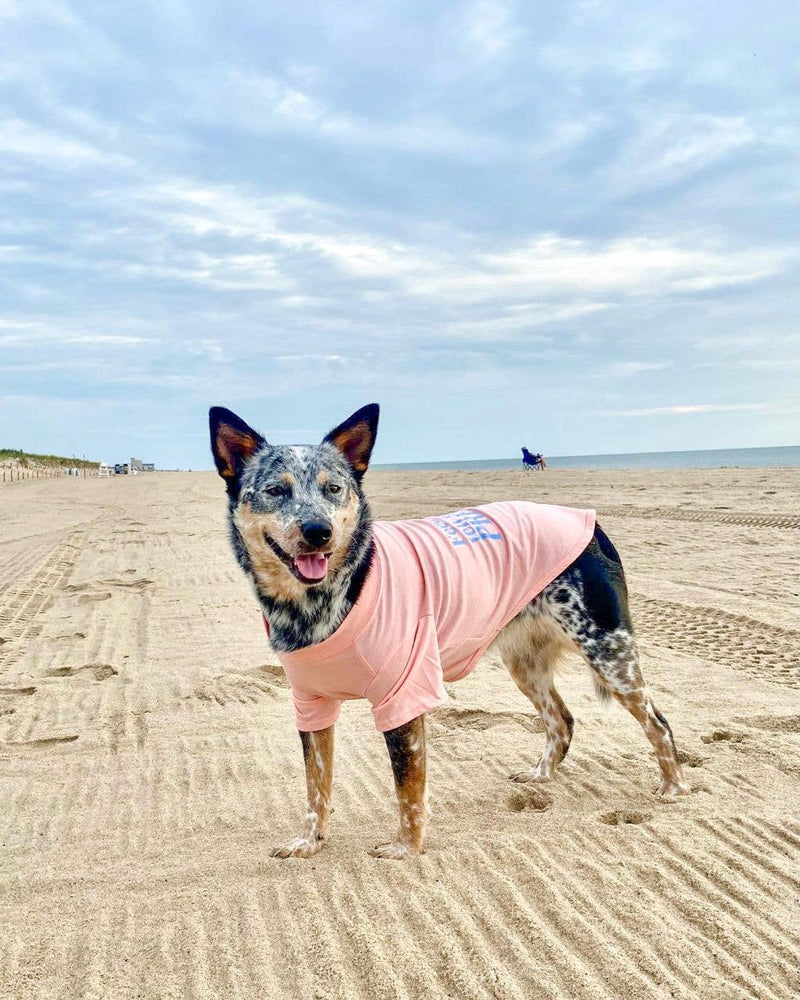 "Feed Me & Tell Me I'm Pretty" Dog T-Shirt - Pink Lemonade