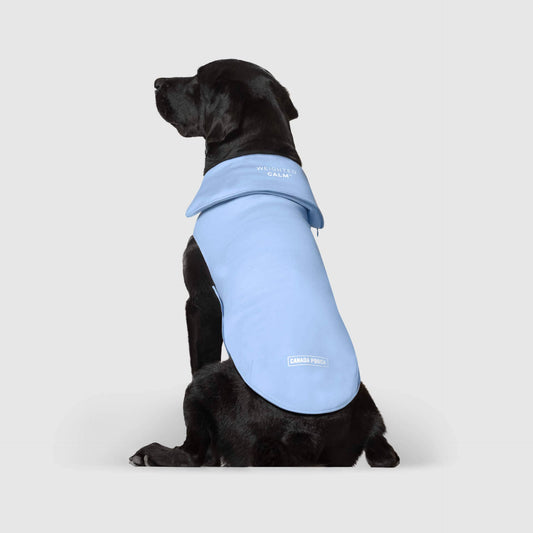 Weighted Calming Dog Vest: XS / Blue