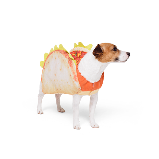 Funny Pet Taco Costume