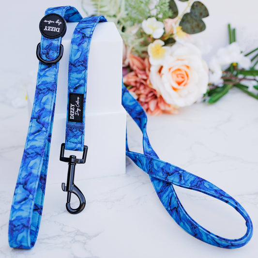 Dizzy Dog Printed Leash