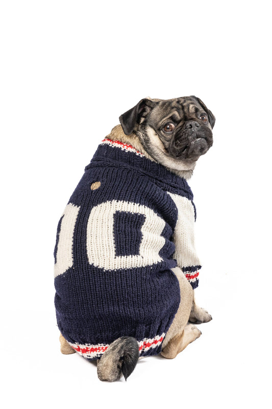 Varsity Sweater
