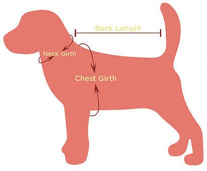 Pet Fleece: Vintage Winter Deer Pink