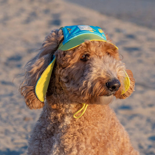 Sun Shield Dog Hat: Rubber Ducks