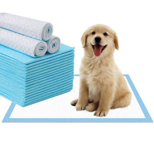 Mr. Peanut’s Premium Absorbent Gel Pee Pads 23"X23", 6 Layers of Lightly Scented Protection: 4 Pad Pack