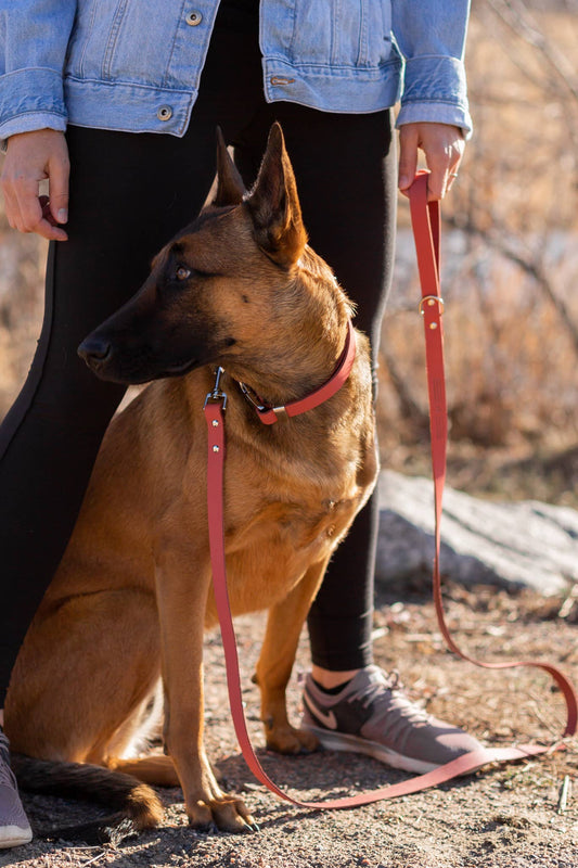 Modern Style Soft Leather Euro Dog Leash: Large 3/4" Width 6' Length / Coral Reef