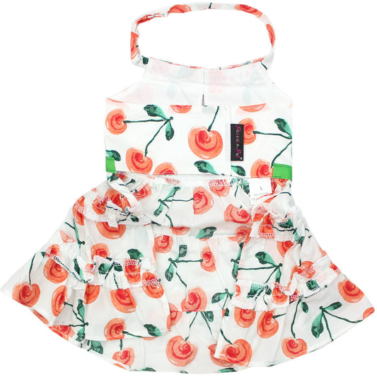Red Poppies Boho Dress – Trendy Floral Dog Outfit for Pets