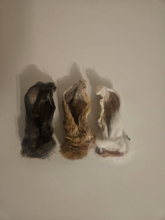 Rabbit Ears